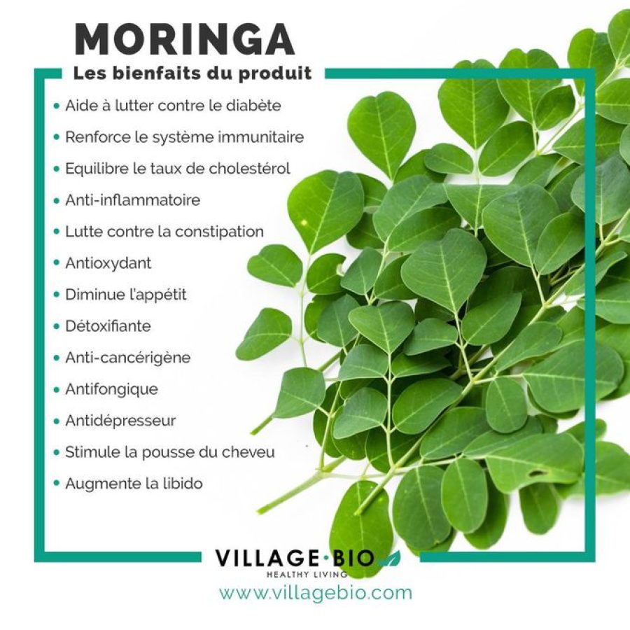 2-1-MORINGA